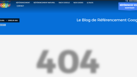 referencement google 404