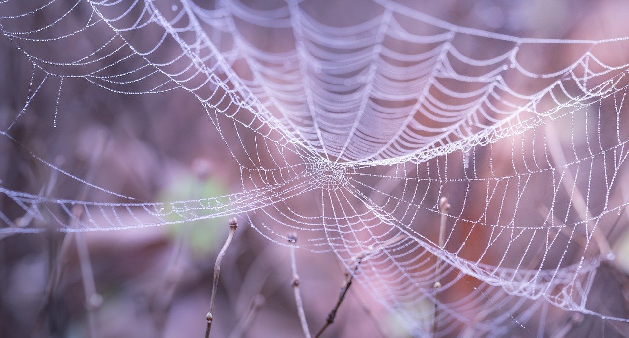 Référencement web