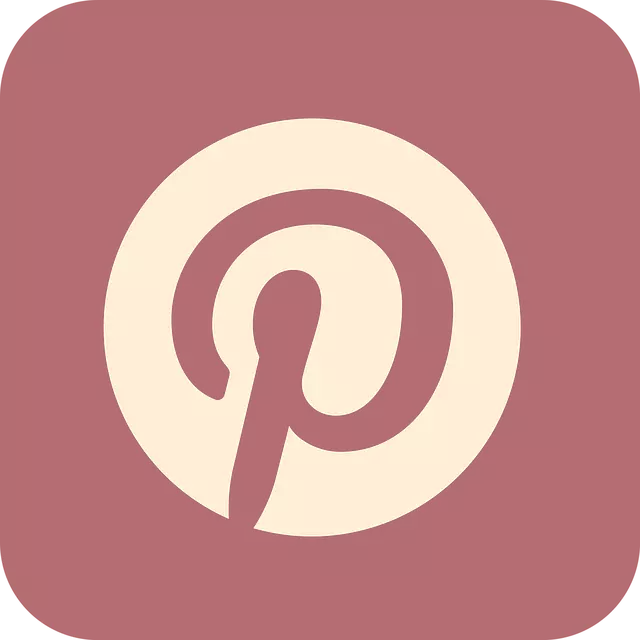 REFERENCEMENT PINTEREST SEO