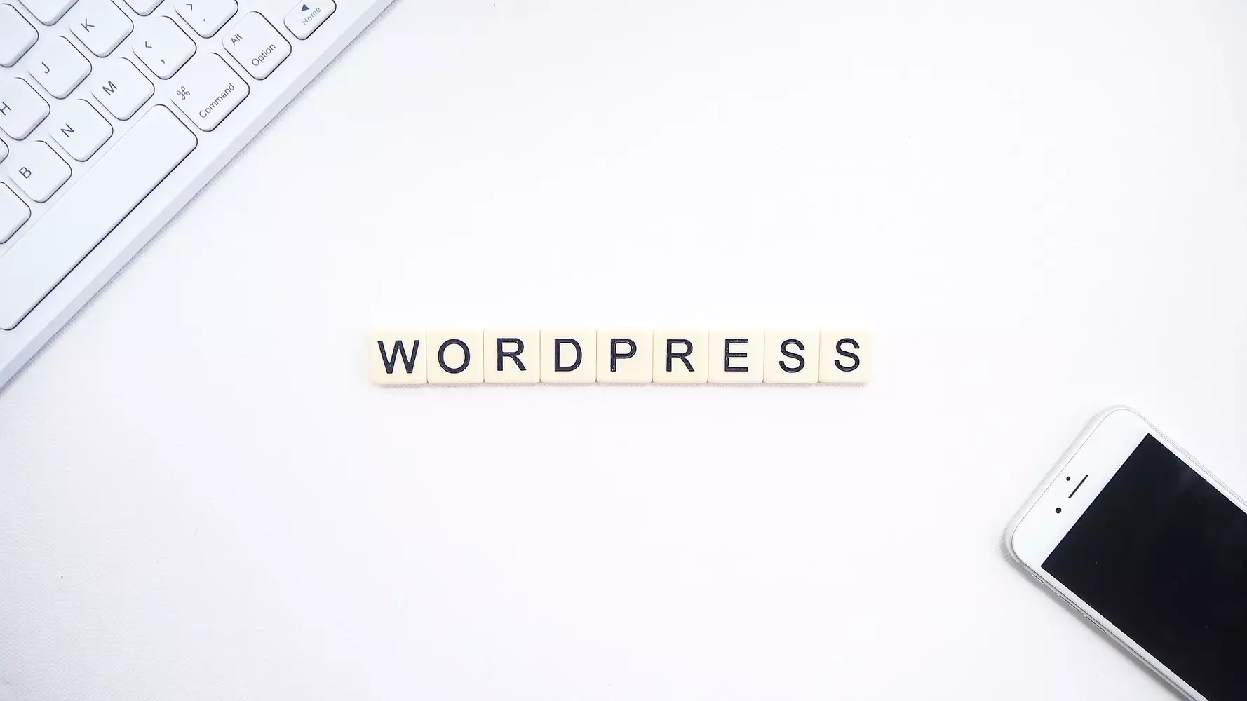Creation site Wordpress