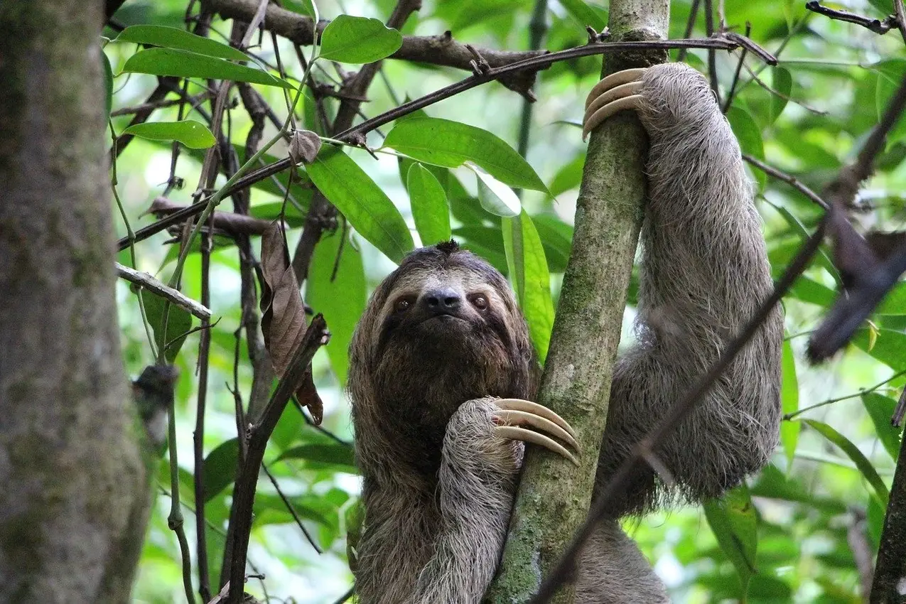 Vivre au costa rica