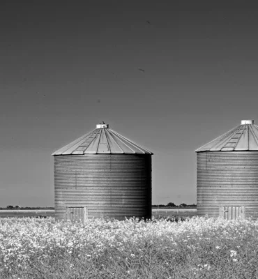 CRÉER UNE STRUCTURE EN SILO DANS WORDPRESS