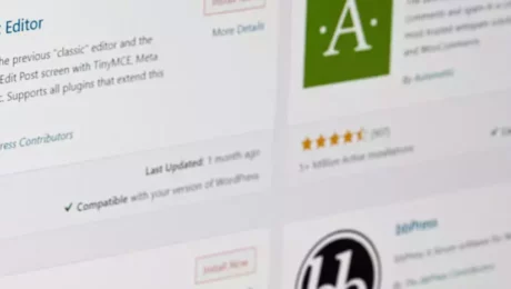 Redirection WordPress Redirection Wordpress