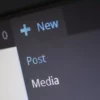 afficher le code et les shortcodes dans WordPress
