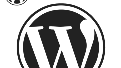 Comment créer et vendre des plug ins Wordpress