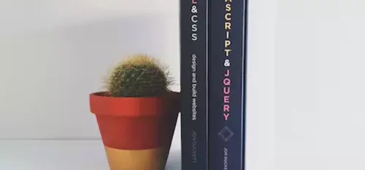 Le paquet n’a pas pu être installé. La feuille de style.css manque !