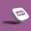 plugins-multi-vendeurs-woocommerce