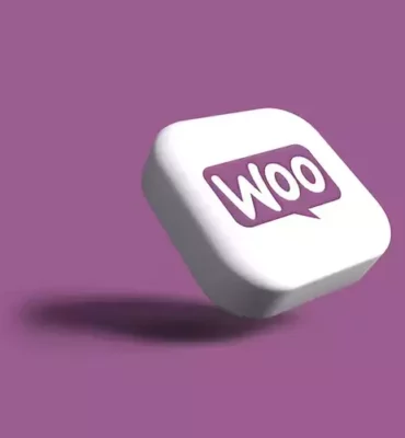 plugins-multi-vendeurs-woocommerce plugins-multi-vendeurs-woocommerce