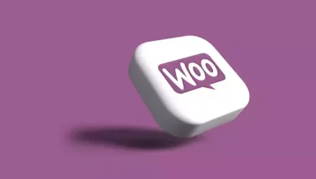 plugins-multi-vendeurs-woocommerce plugins-multi-vendeurs-woocommerce
