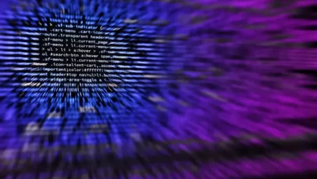 meilleur-langage-de-programmation